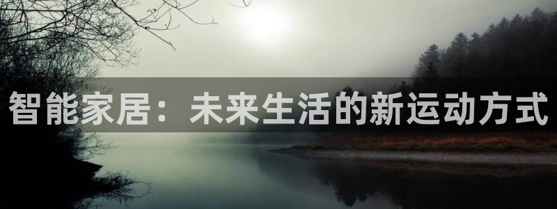 BWIN体育官方正版app神州：智能家居：未来生活的