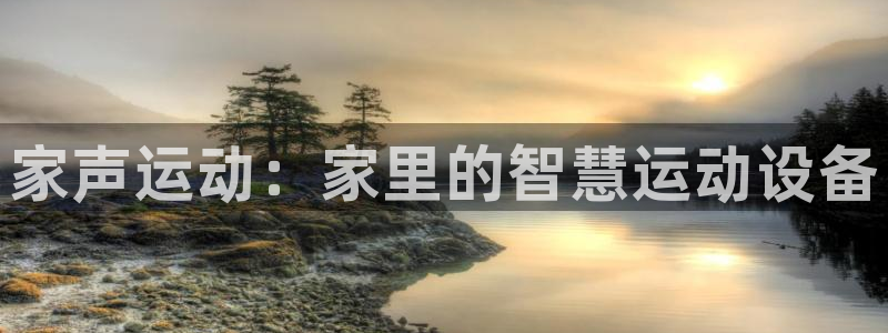 BWIN体育官方正版app集团：家声运动：家里的智慧运动设备