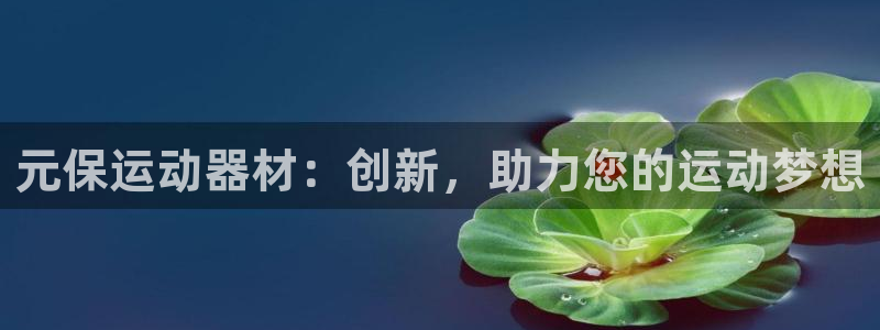 BWIN体育官网下载招商电话地址是多少：元保运动器材：创新，