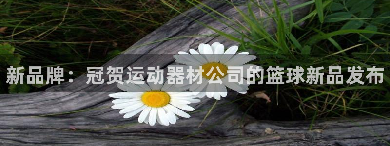 BWIN体育官方正版app娱乐是那个系列的台子：新品牌：冠贺