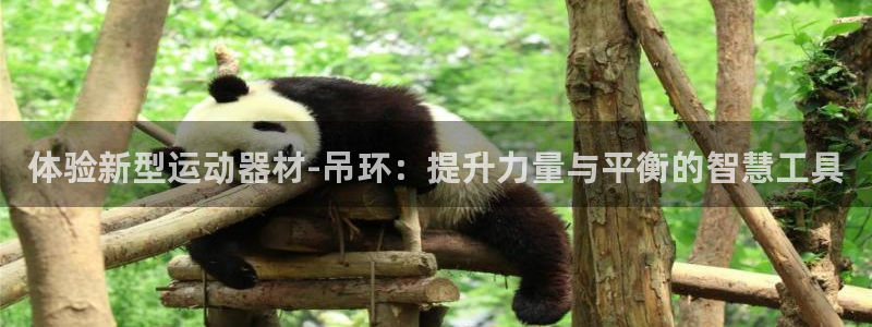 BWIN体育官网下载平台假的吗是真的吗吗：体验新型运动器材-