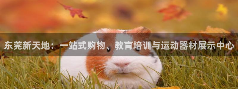 BWIN体育官网下载平台：东莞新天地：一站式购物、教育培训与