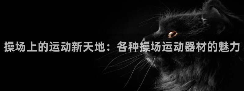 BWIN体育官网下载平台是正规平台吗安全吗：操场上的运动新天