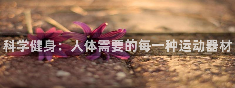 BWIN体育官方正版app新能源：科学健身：人体需要的每一种