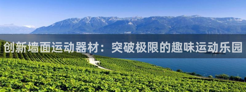 BWIN体育官方正版app娱乐下载：创新墙面运动器材：突破极