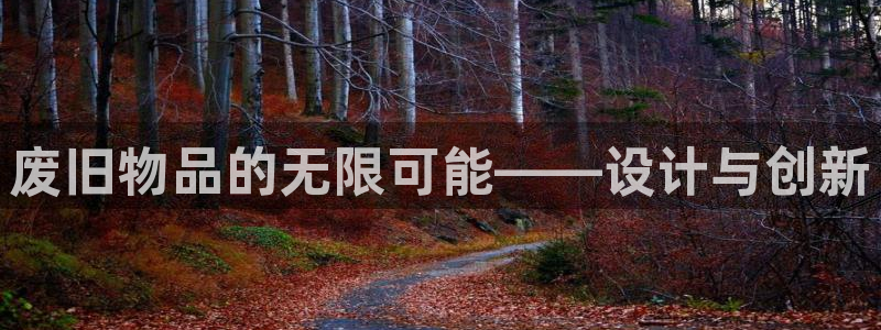 BWIN体育官网下载联系电话：废旧物品的无限可能——设计与创