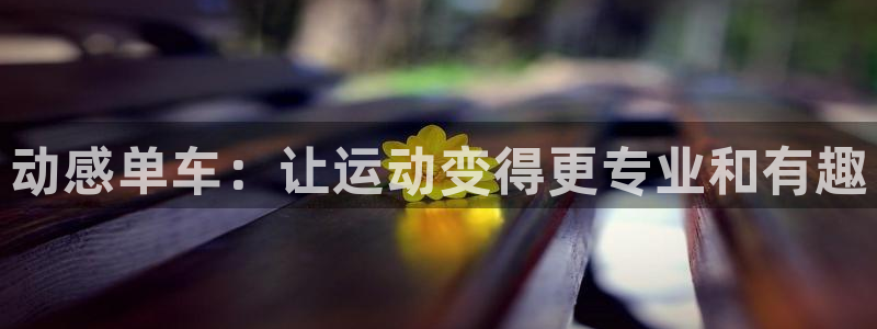 BWIN体育官网下载是干嘛的公司：动感单车：让运动变得更专业
