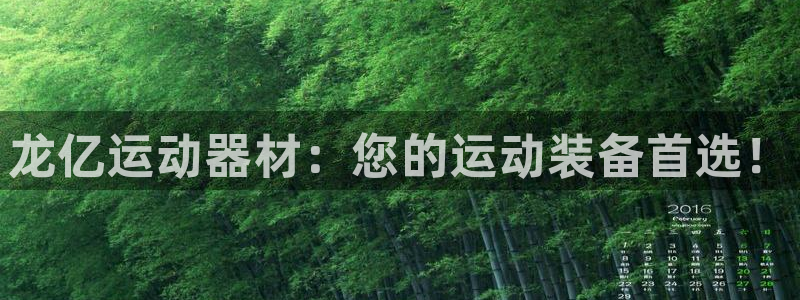 BWIN体育官方正版app集团官网首页：龙亿运动器材：您的运