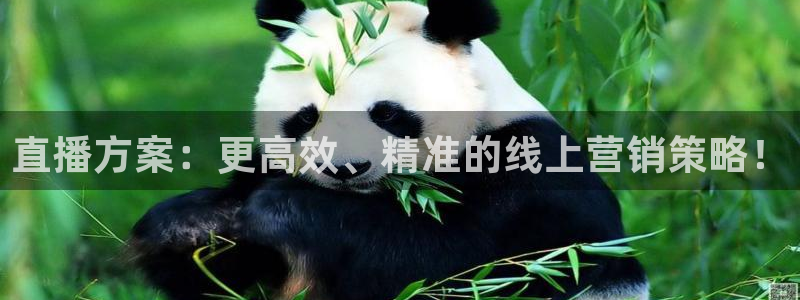 劲爆nba免费直播在线直播观看：直播方案：更高效、精准的线上营销策略！