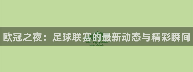 劲爆直播体育：欧冠之夜：足球联赛的最新动态与精彩瞬间