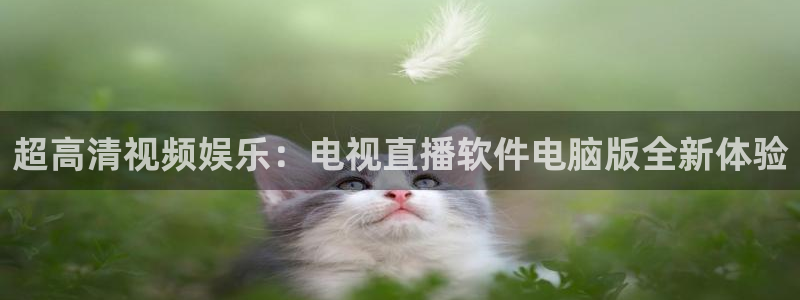 劲爆体育频道在线直播观看：超高清视频娱乐：电视直播软件电脑版全新体验