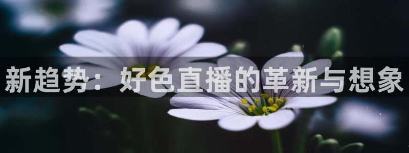 劲爆体育免费直播nba：新趋势：好色直播的革新与想象