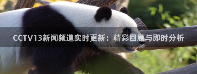 劲爆体育免费直播nba边看边玩1.新通道.club：CCTV13新闻频道实时更新：精彩回顾与即时分析