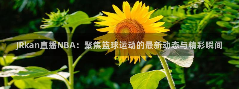 五星劲爆体育在线直播观看：JRkan直播NBA：聚焦篮球运动的最新动态与精彩瞬间