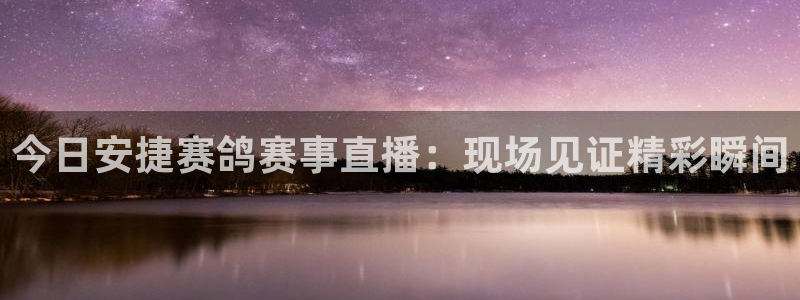劲爆体育nba直播视频免费观看：今日安捷赛鸽赛事直播：现场见证精彩瞬间