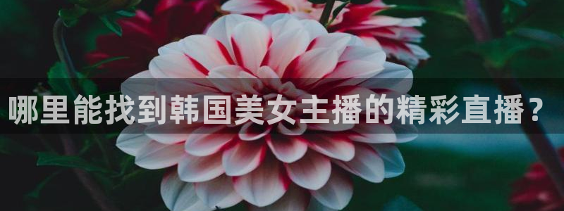劲爆体育直播在线观看高清：哪里能找到韩国美女主播的精彩直播？