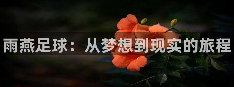 劲爆体育电视台直播：雨燕足球：从梦想到现实的旅程